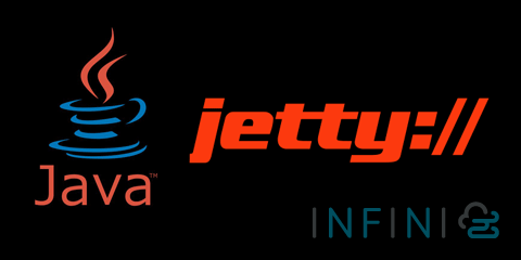 java jetty ssl